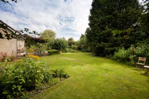 Garden (2)- click for photo gallery